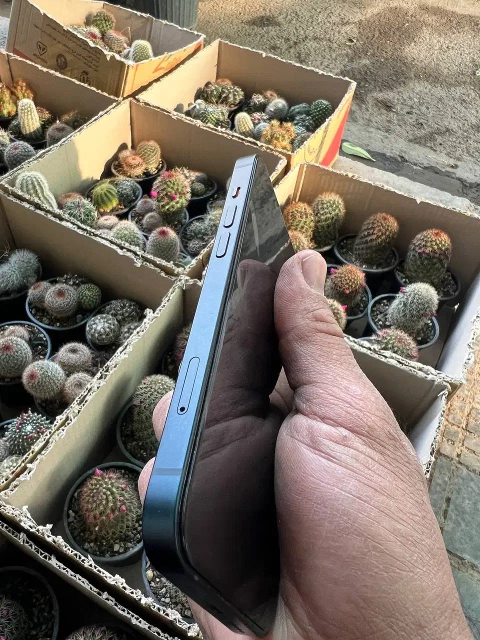 ایفون ۱۴|موبایل|ری, بازار گل خاوران|دیوار