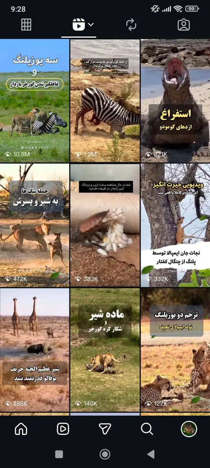 پیج 11 کا حیات وحش اینستاگرام|لوازم جانبی موبایل و تبلت|دزفول, |دیوار