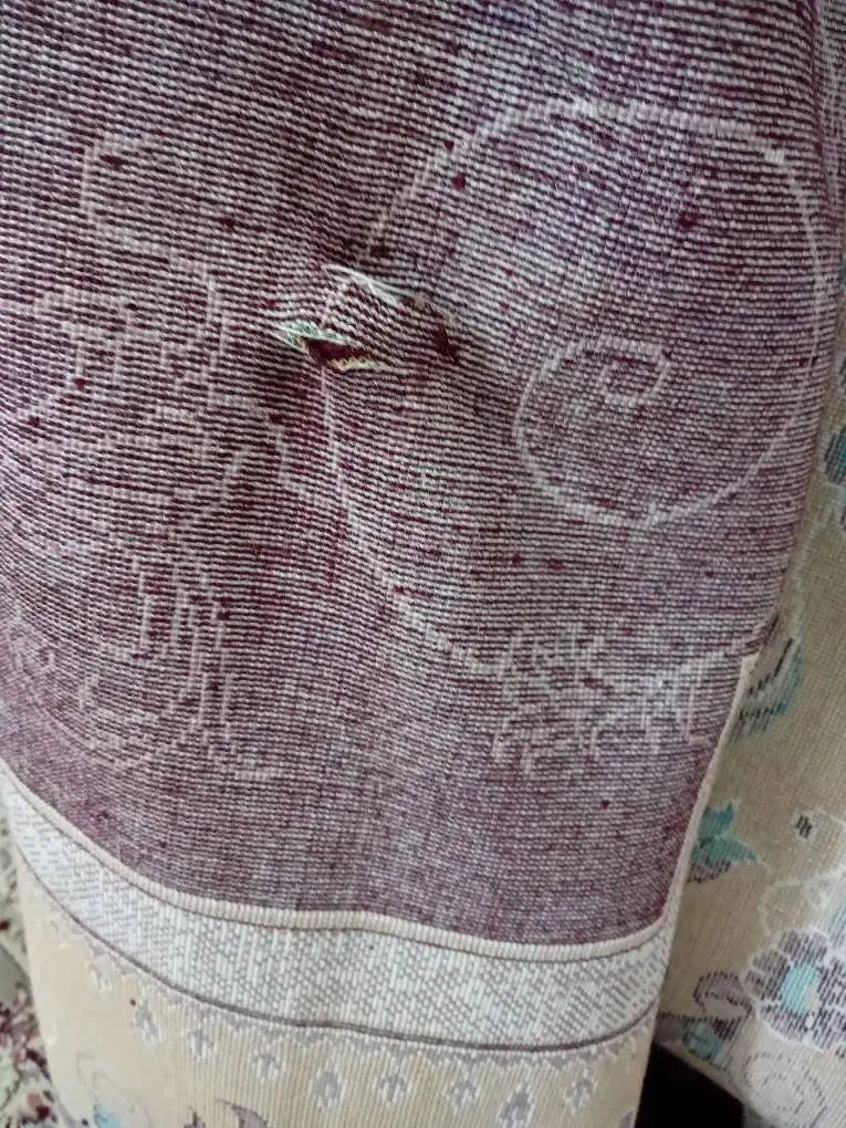 فرش ماشینی ۱۲متری|فرش|قدس, شهر‌قدس|دیوار