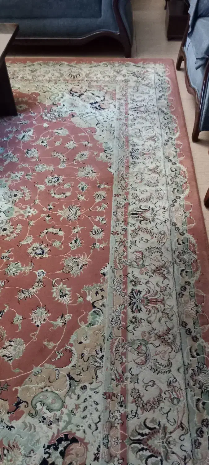 فرش ۹ متری نگین مشهد ماشینی|فرش|رشت, سعدی (تختی)|دیوار