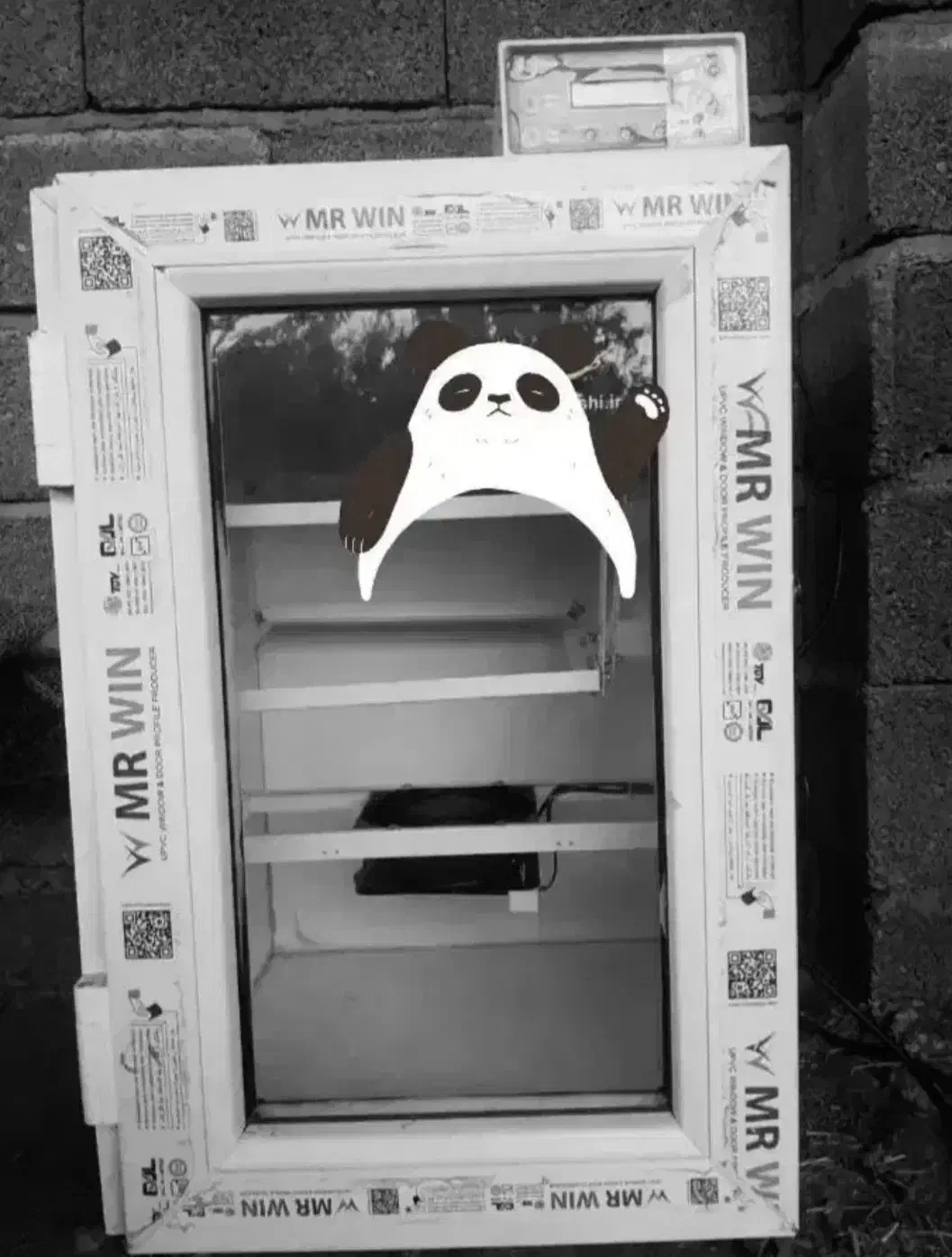 دستگاهجوجهکشی|حیوانات مزرعه|آستانه اشرفیه, |دیوار