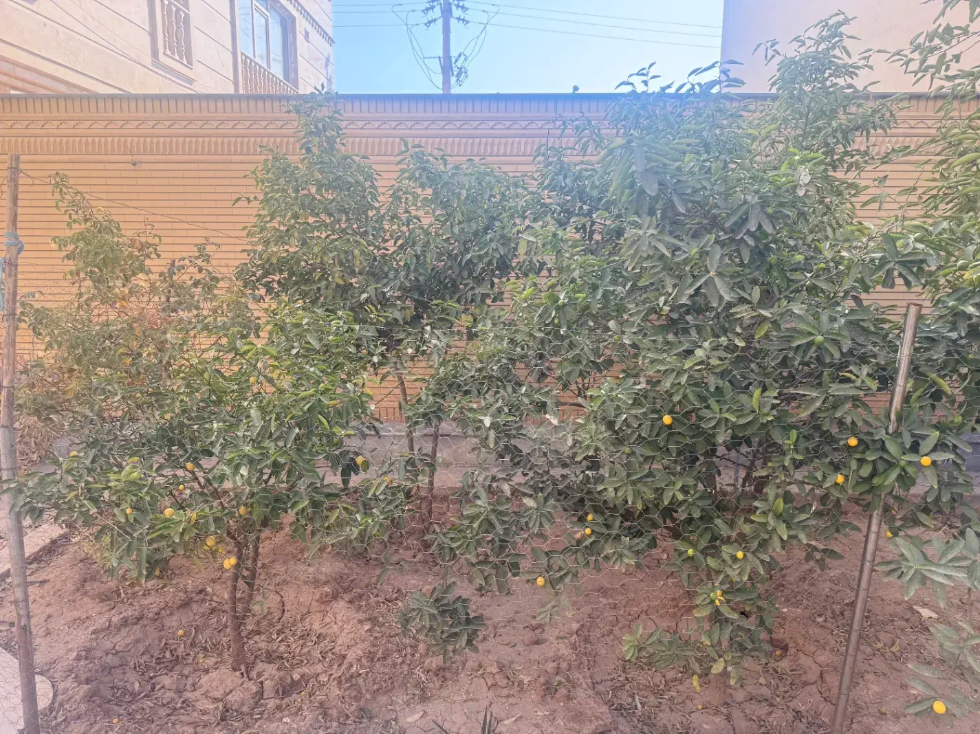 خانه ویلایی|اجارهٔ خانه و ویلا|شیراز, شهرک پرواز|دیوار