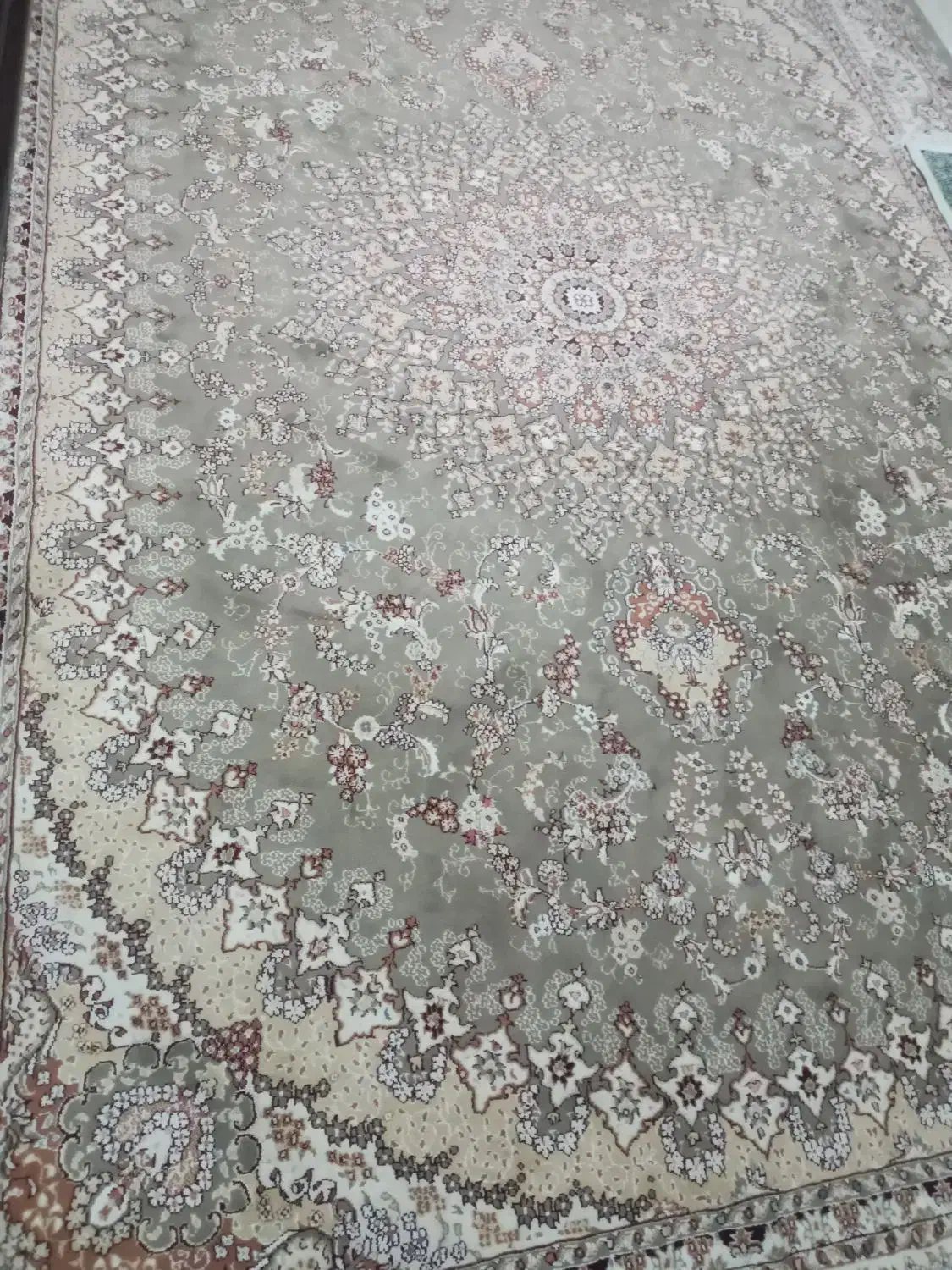 فرش|فرش|قم, پردیسان|دیوار