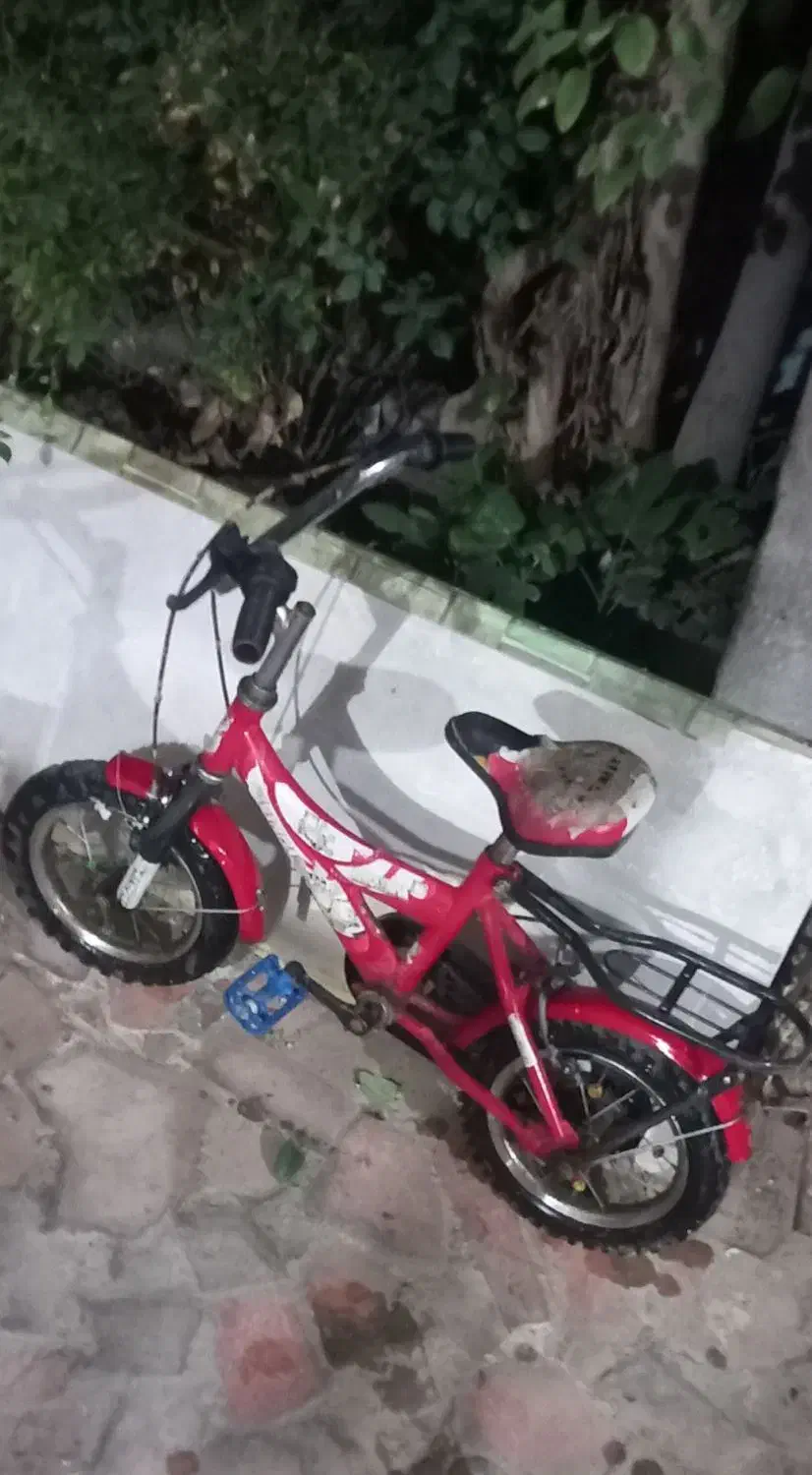 دو چرخه کارکرد ۱۲|دوچرخه، اسکیت، اسکوتر|تربتحیدریه, هاشمینژاد|دیوار