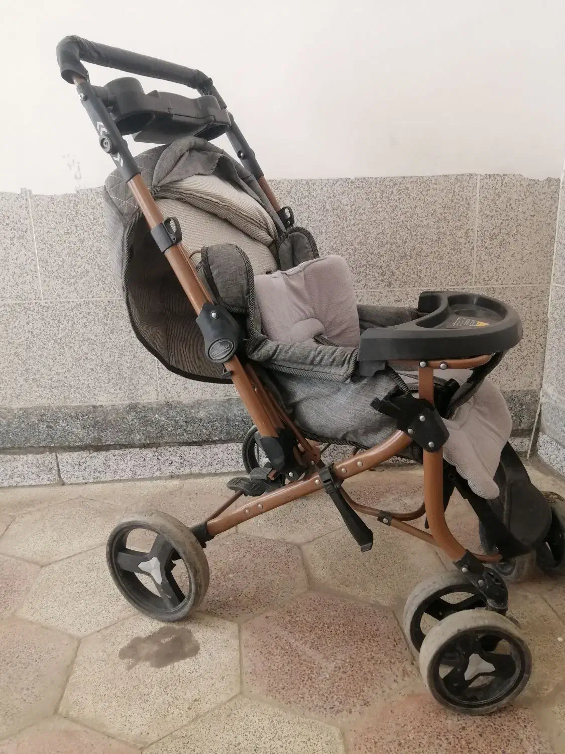 کالسکه وکریردرحدنو|کالسکه و لوازم جانبی|نیشابور, میدان حافظ|دیوار