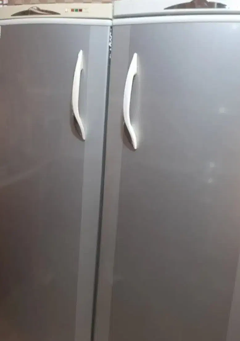 یخچال و فریزر گلسان|یخچال و فریزر|رفسنجان, |دیوار