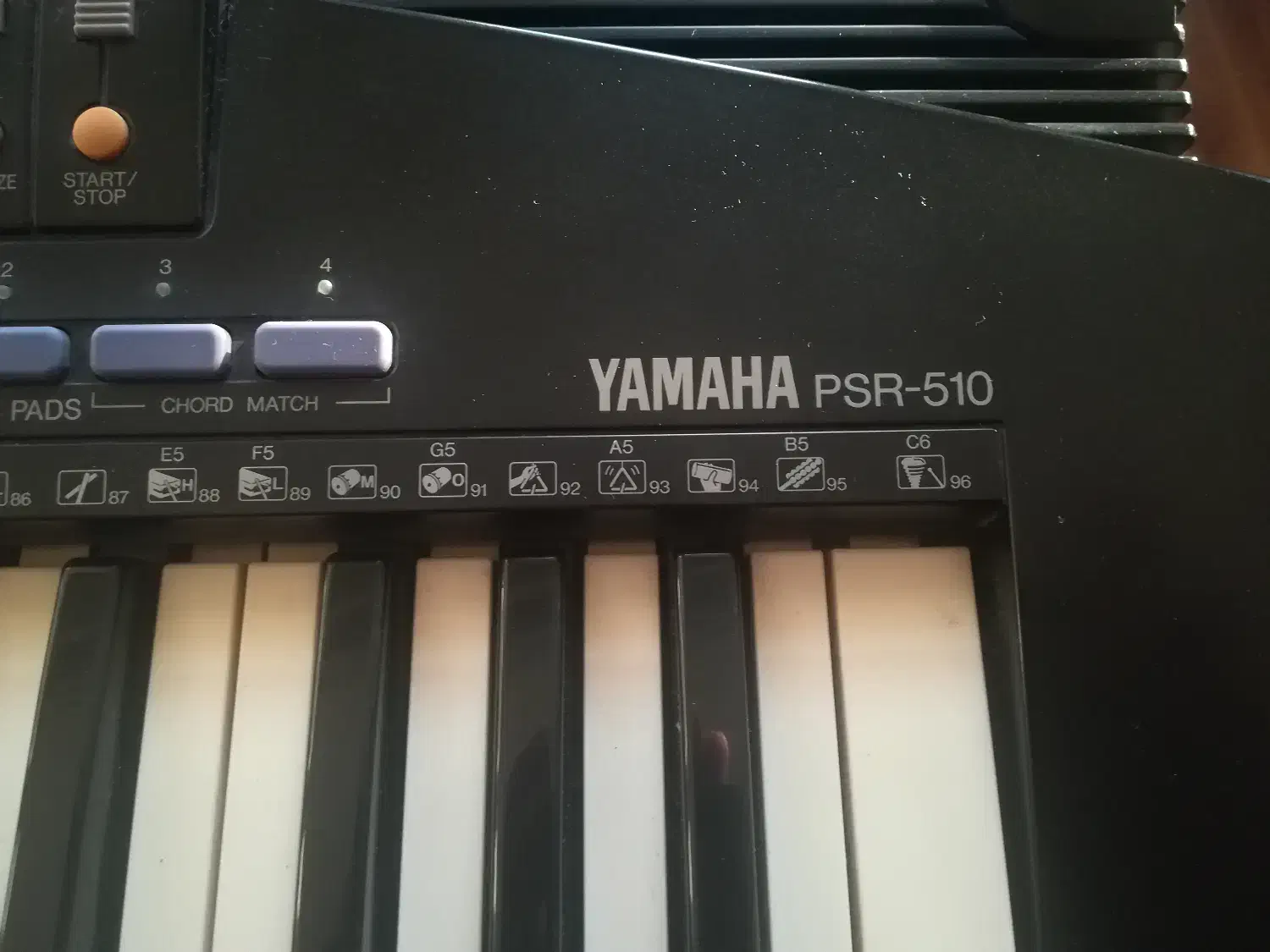 ارگ یاماها|پیانو، کیبورد، آکاردئون|کرج, عظیمیه|دیوار