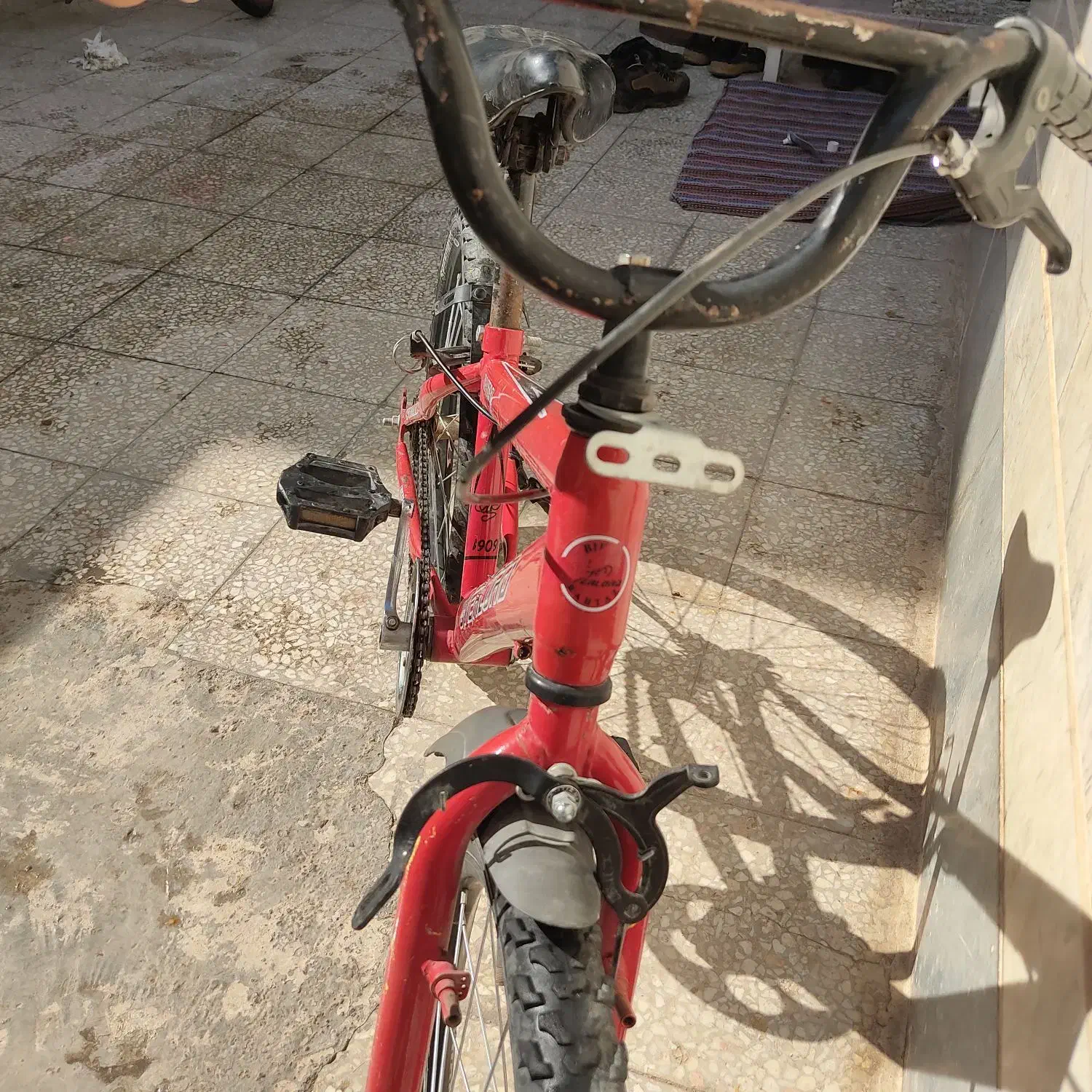 دوچرخه ۱۶|دوچرخه، اسکیت، اسکوتر|قم, چهل درخت|دیوار