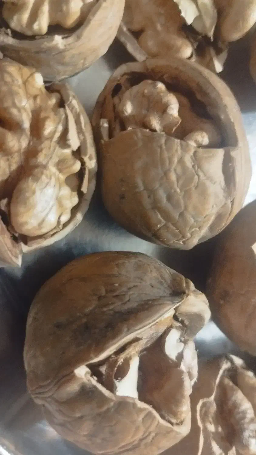 گردو تویسرکان|خوردنی و آشامیدنی|فردیس, فردیس|دیوار