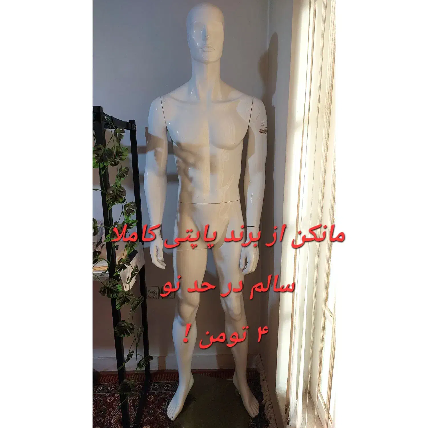 رگال،مانکن،پروفیل،چوبکار،دستگاه ارسال پیامک|فروشگاه و مغازه|شیراز, مبعث|دیوار