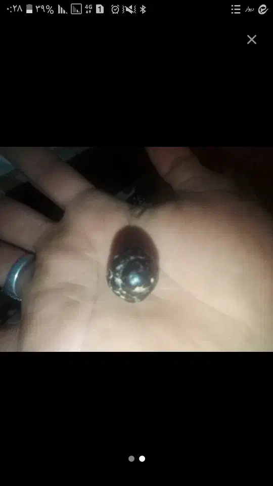 شهاب سنگ اصلش|کلکسیون اشیاء عتیقه|اسفراین, |دیوار