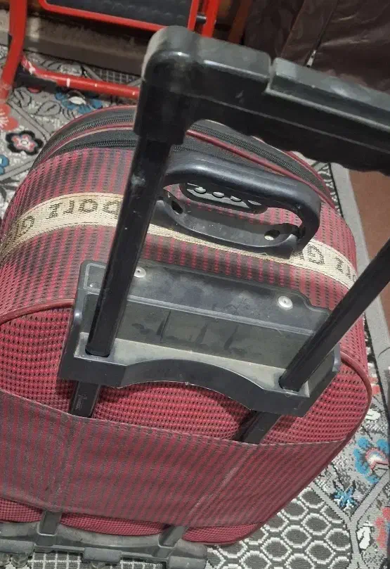 چمدان|کیف، کفش، کمربند|سنندج, |دیوار