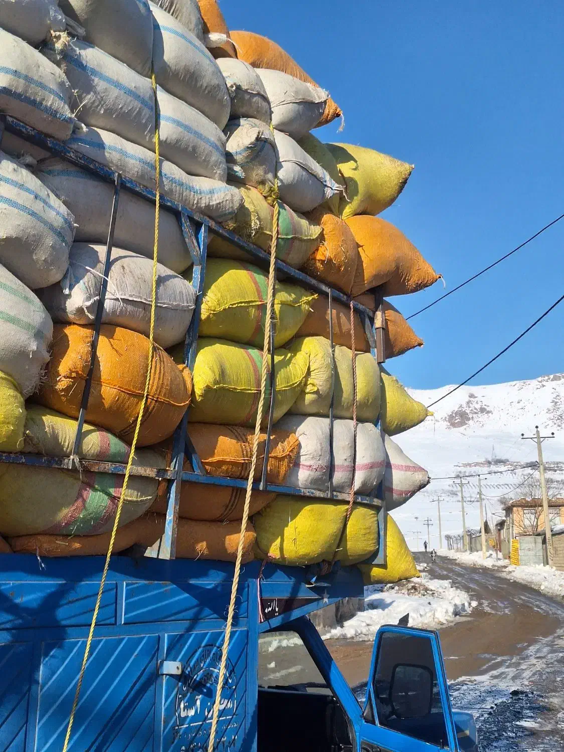 علف یونجه|حیوانات مزرعه|پیرانشهر, |دیوار