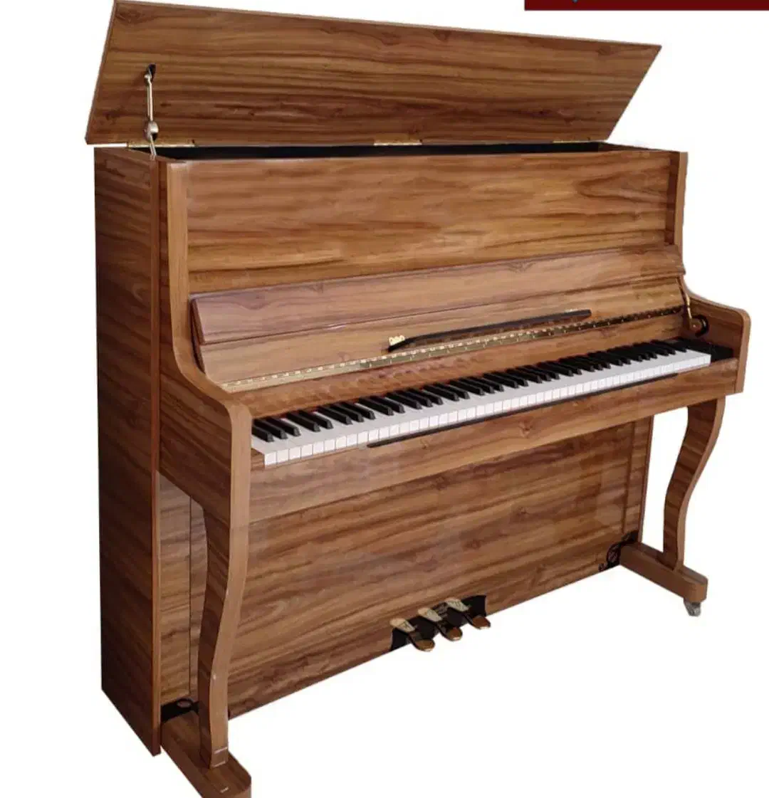 WlO2 متفاوت ترین پیانوهای جهان تولیدی هوران قسطی»|پیانو، کیبورد، آکاردئون|شیراز, بازار|دیوار