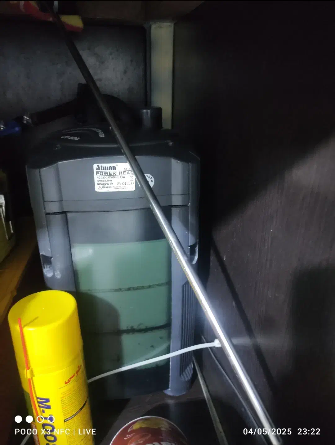 اکواریوم اب شیرین|ماهی|فردیس, فرامرزیه|دیوار