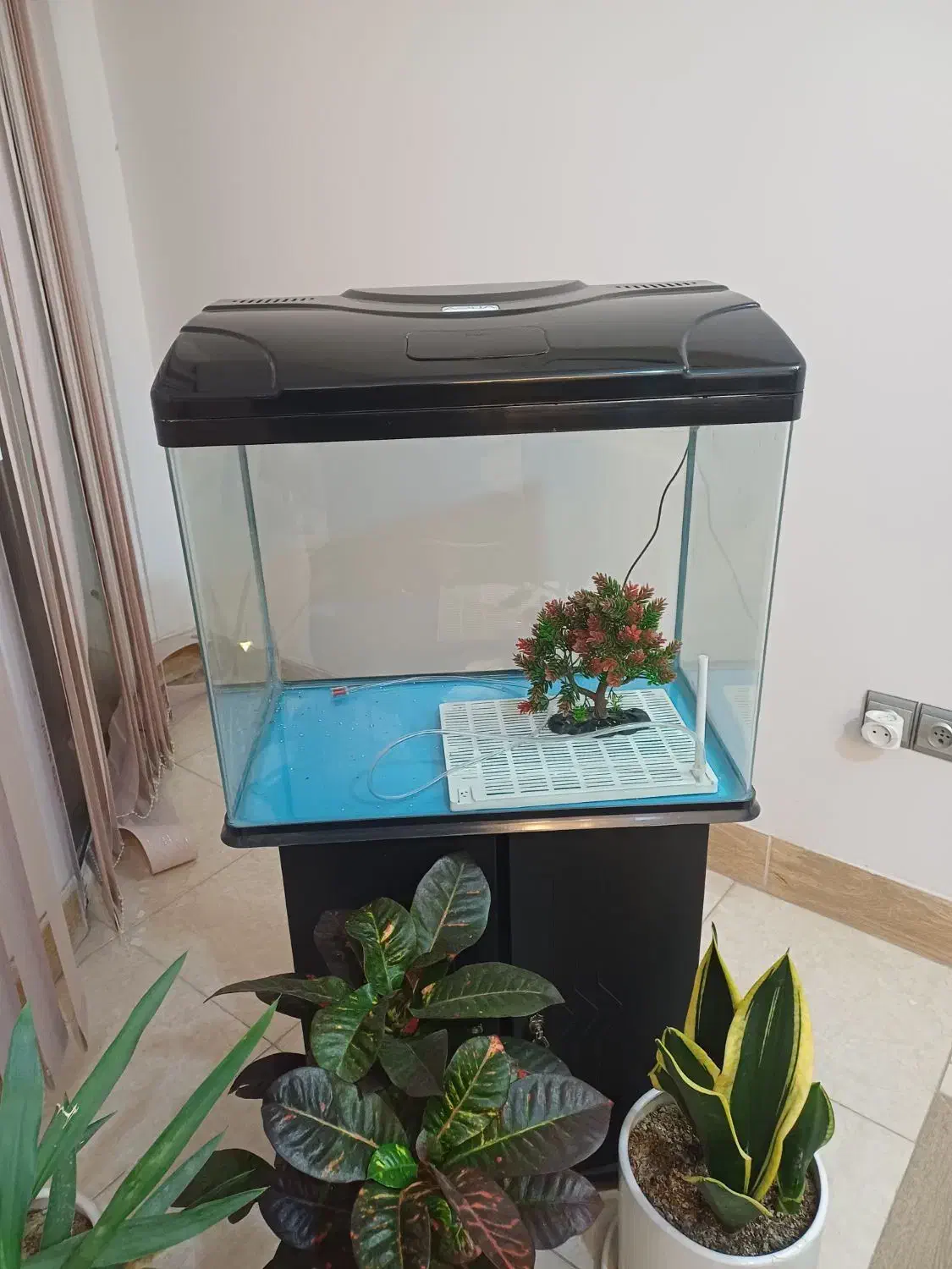 اکواریوم تمیز و سالم|ماهی|اصفهان, شفق|دیوار