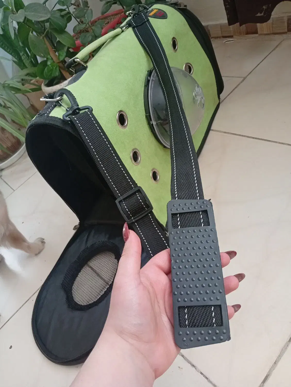 باکس سگ و گربه|لوازم جانبی حیوانات|پردیس, فاز ۳|دیوار