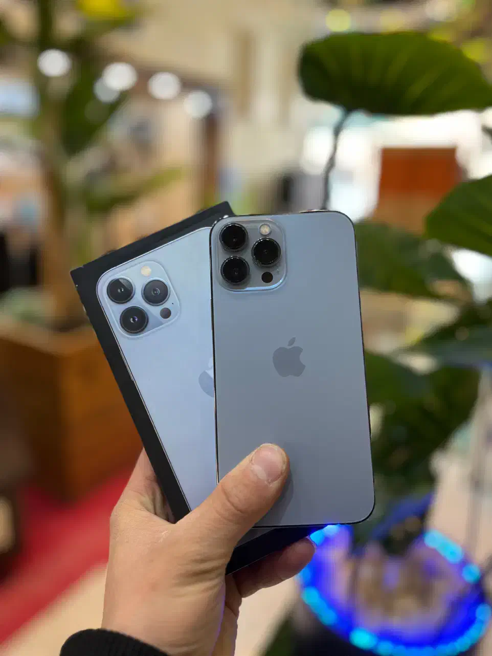 iPhone. 13 promax|موبایل|یزد, |دیوار