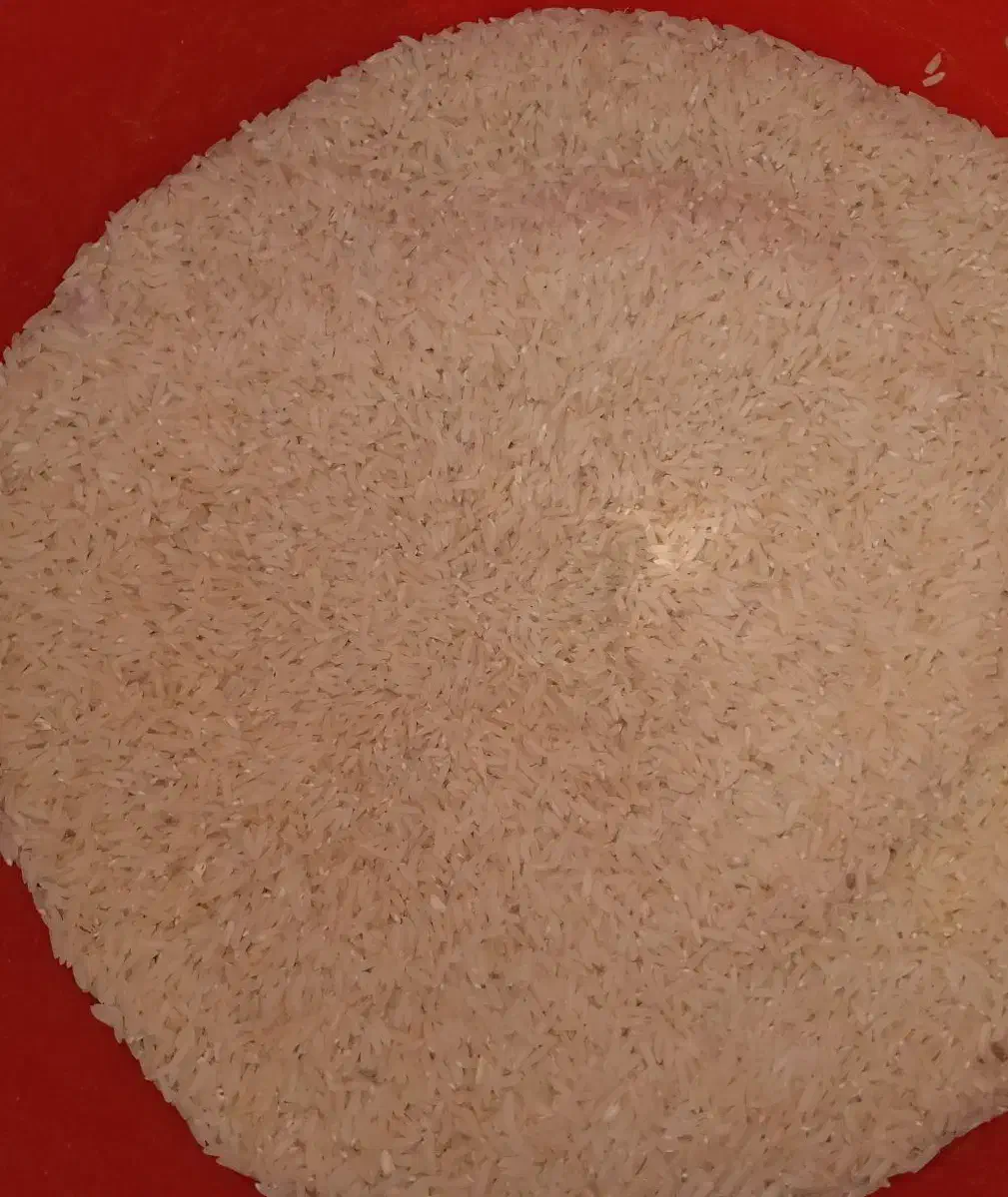 برنج شیرین دره ،درجه یک|عمدهفروشی|بجنورد, |دیوار