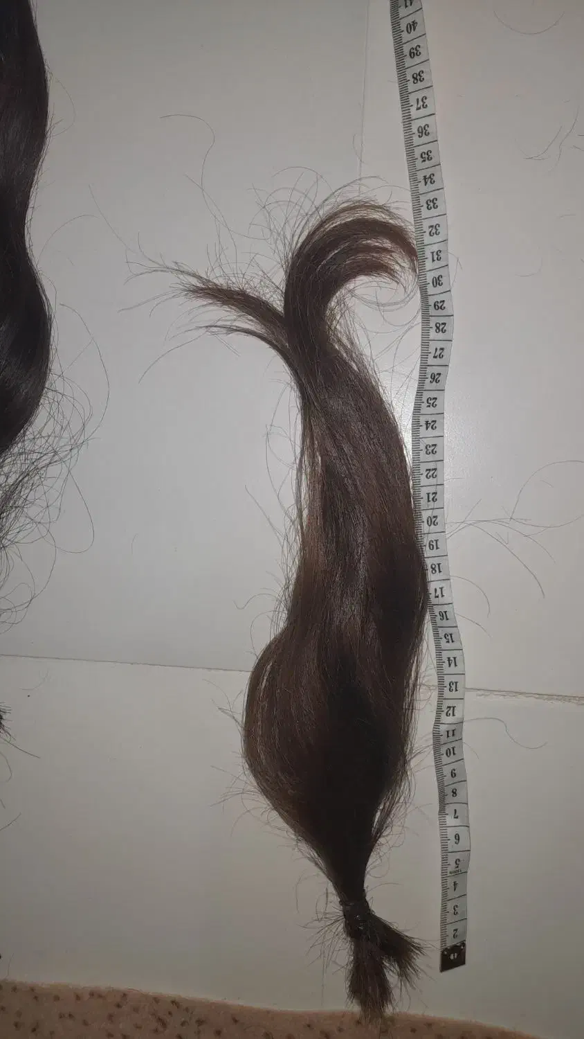 موی طبیعی|آرایشگاه و سالن‌های زیبایی|ایوان, |دیوار