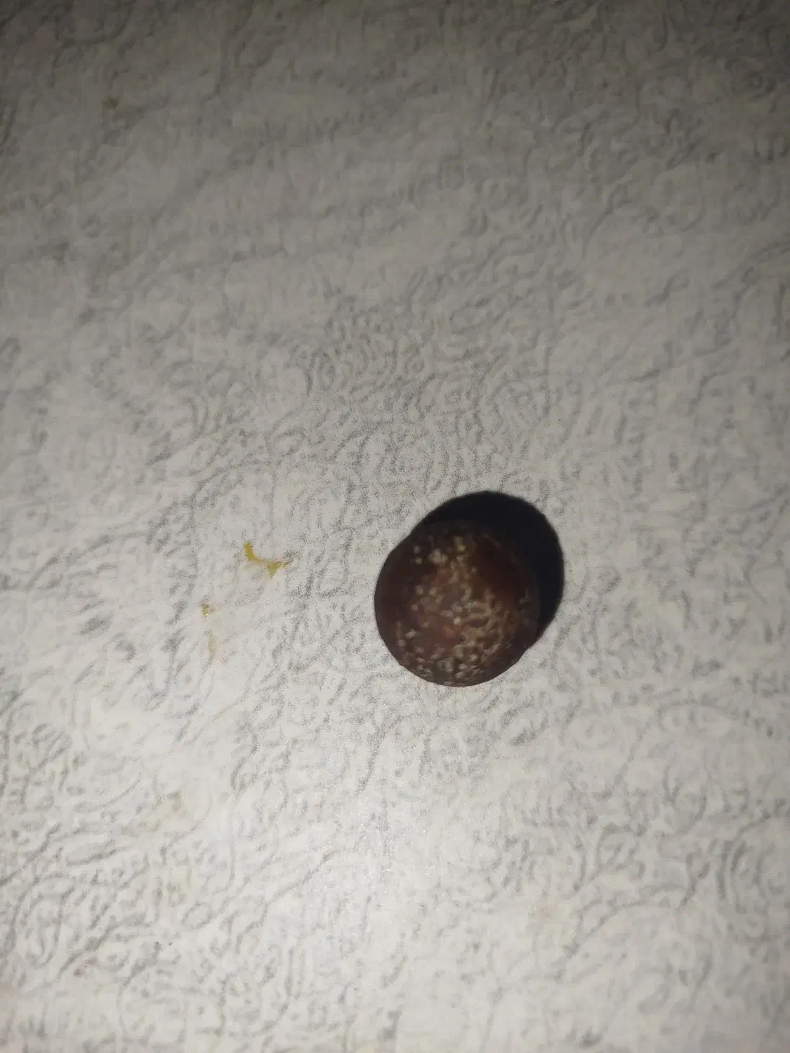 شهاب سنگ|کلکسیون اشیاء عتیقه|سنندج, |دیوار