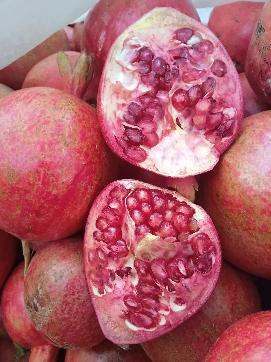 رنگی|خوردنی و آشامیدنی|فردوس (خراسان), |دیوار