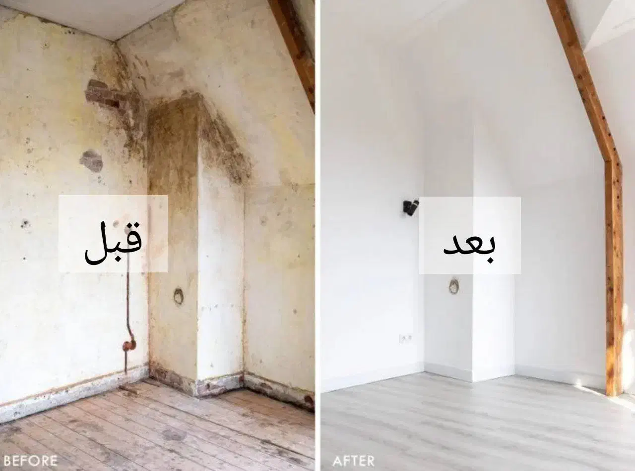 نقاشی ساختمان نازلترین قیمت کیفیت بینظیر|خدمات پیشه و مهارت|گرگان, |دیوار