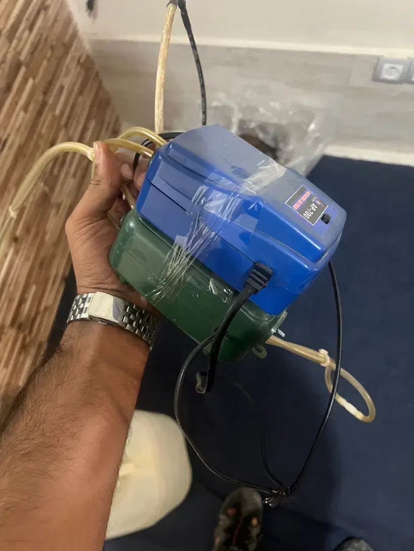 آکواریوم سالم با لوازم|ماهی|فردیس, شهرک ۱۱۰|دیوار