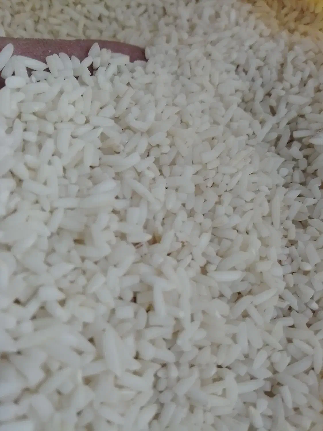 سرلاشه|خوردنی و آشامیدنی|قم, باسکول|دیوار