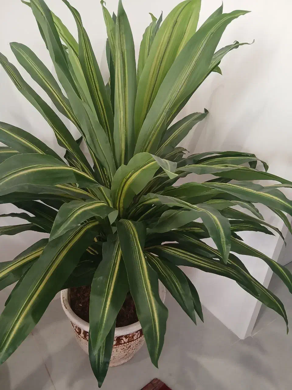 گل تزئینی|گل مصنوعی|مشهد, آزادشهر|دیوار