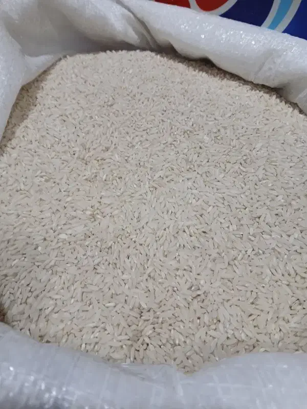 برنج درجه۱ دورود ۳۲۰|خوردنی و آشامیدنی|هشتگرد, شهرک ریحانه|دیوار