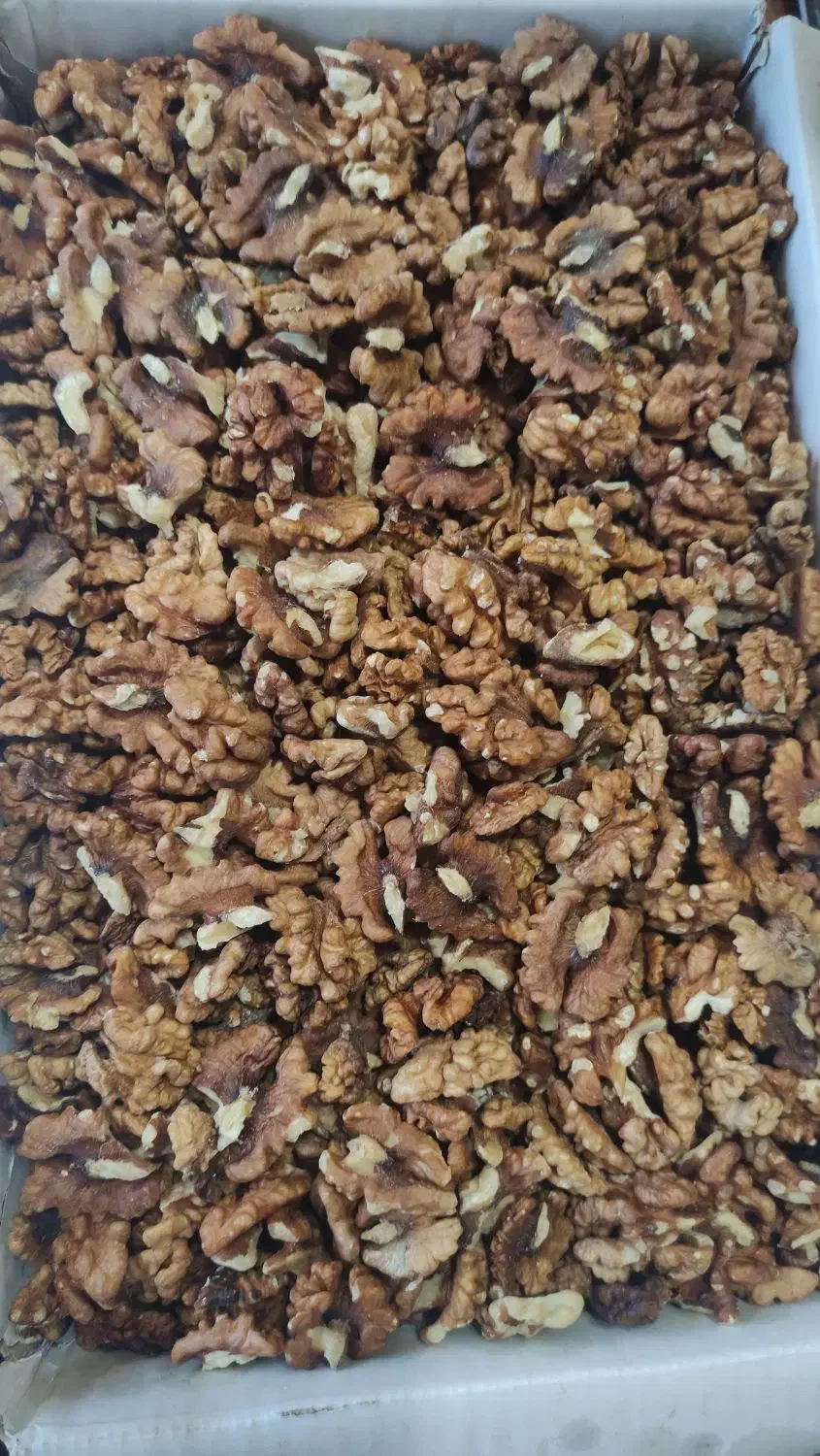 مغز گردو درجه یک و شکری|خوردنی و آشامیدنی|قم, خاکفرج|دیوار