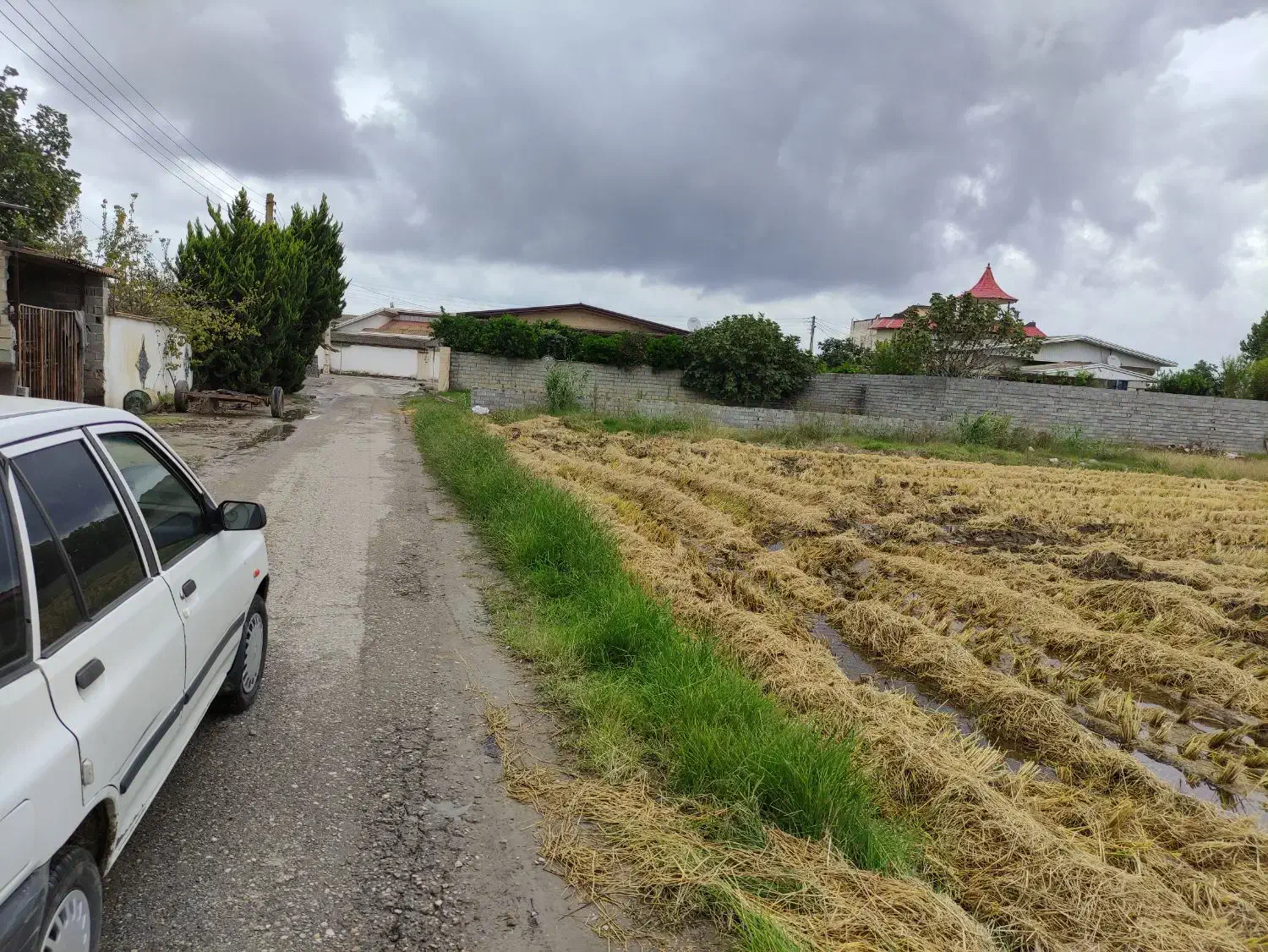 فروش زمین کشاورزی داخل بافت (خانه سرا)|فروش زمین و ملک کلنگی|هادی شهر, |دیوار