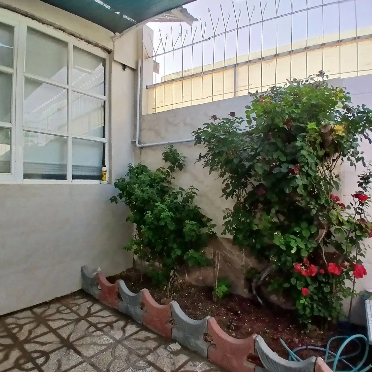 منزل ویلایی فروشی دوخوابه|فروش خانه و ویلا|تربتحیدریه, پائین ولایت|دیوار