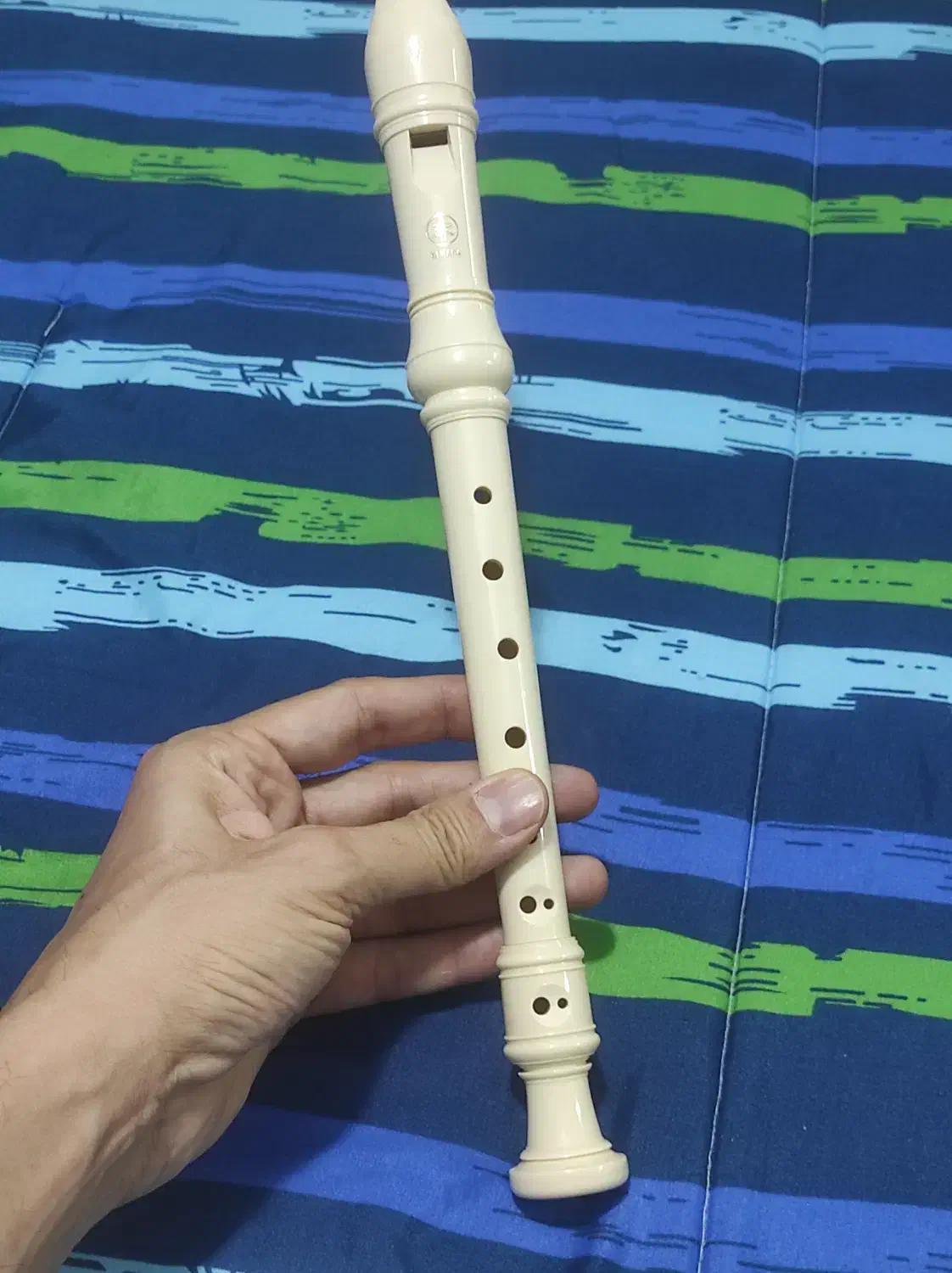 فلوت برند یاماها|سازهای بادی|فردیس, خیام شرقی|دیوار