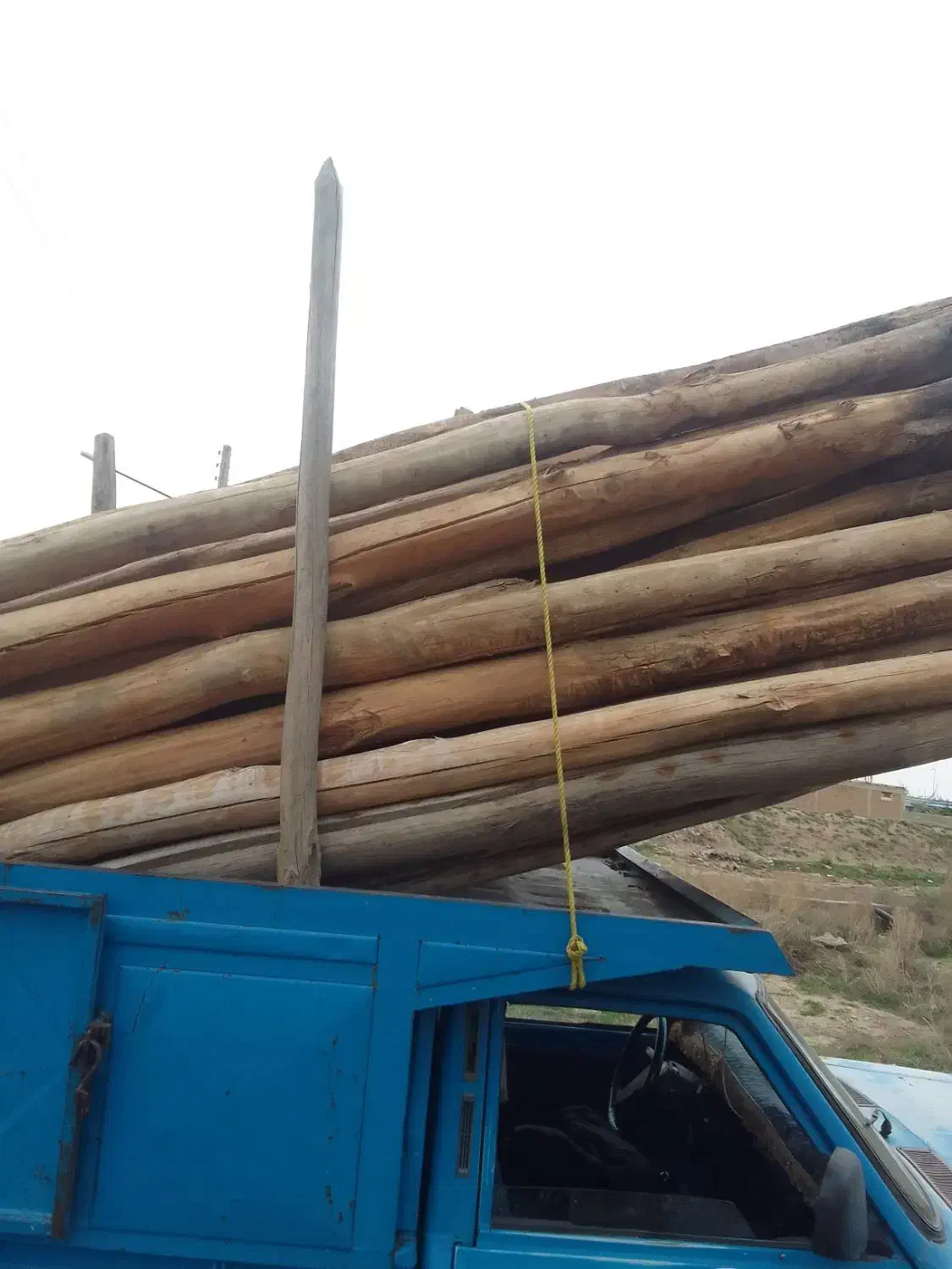 خرید چوب خشک و ضایعات باغی|خدمات باغبانی و درختکاری|مراغه, |دیوار