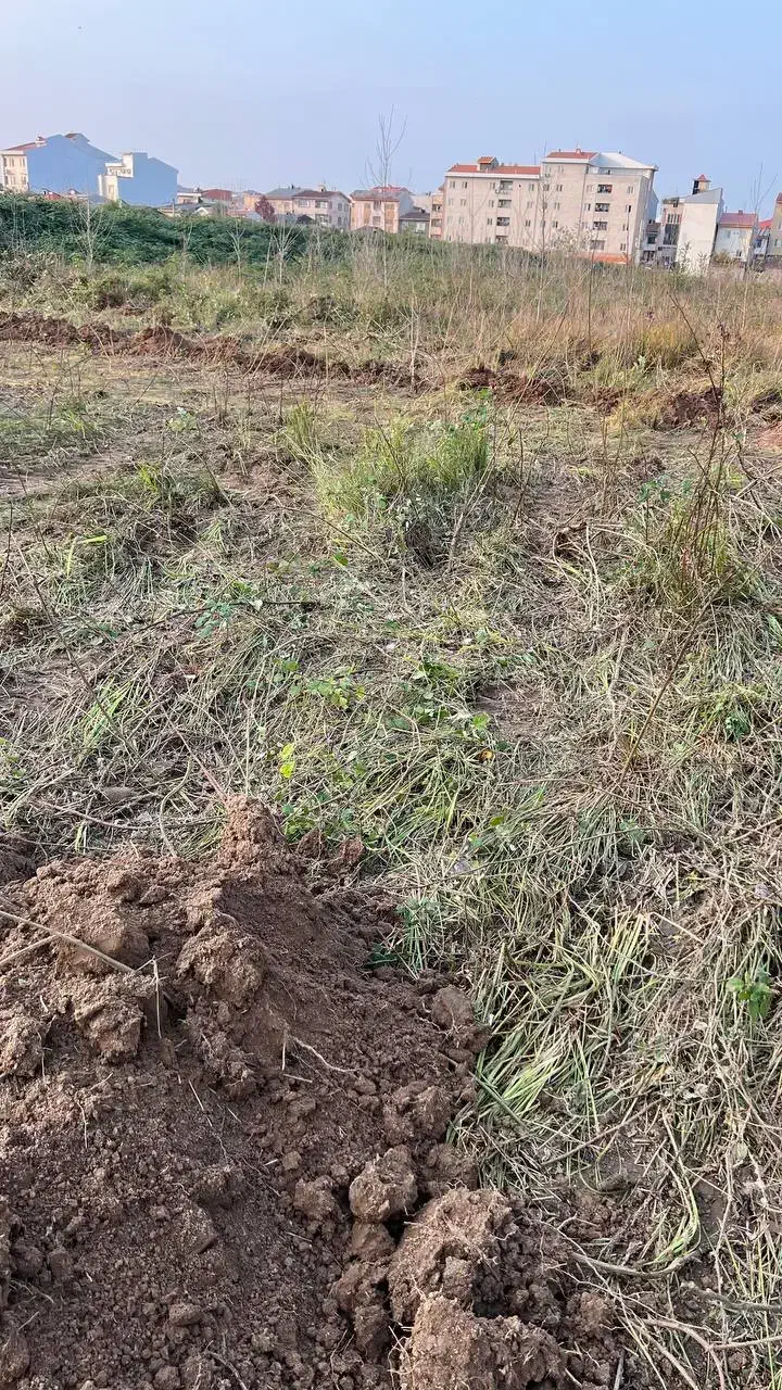 فروش زمین 648 متر با سند خیابان پیام نور|فروش زمین و ملک کلنگی|رشت, گیل|دیوار