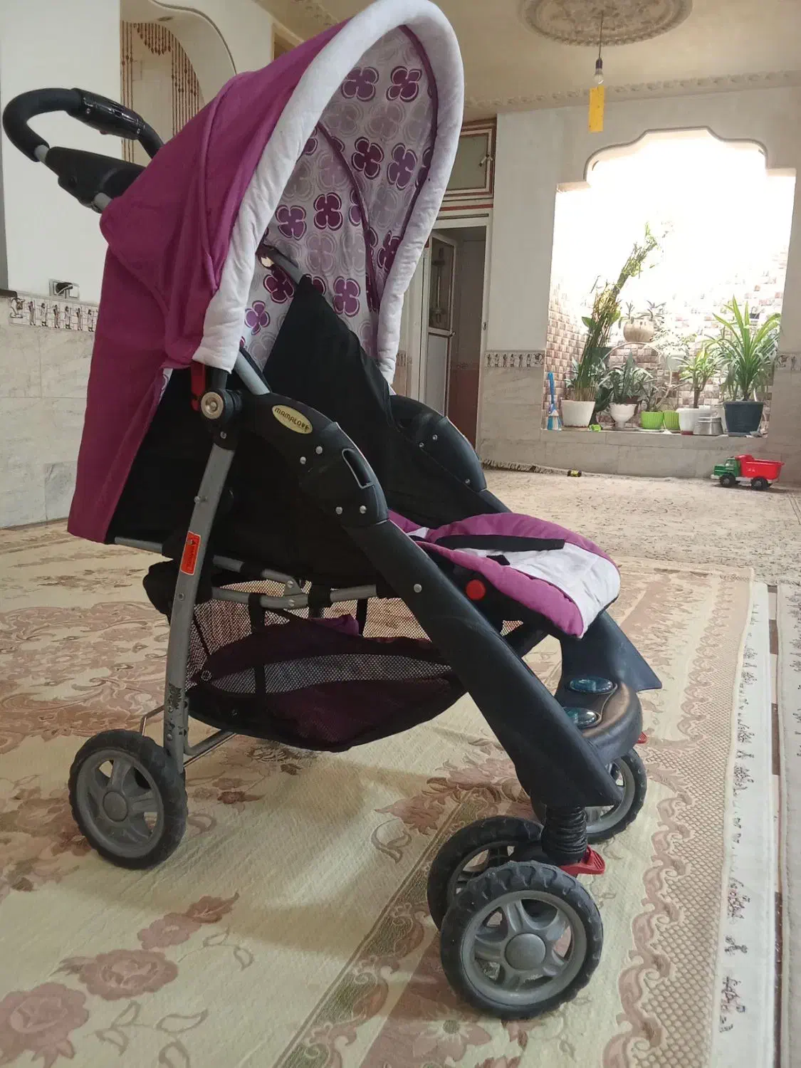 کالسکه در حد نو|کالسکه و لوازم جانبی|شیراز, میانرود|دیوار