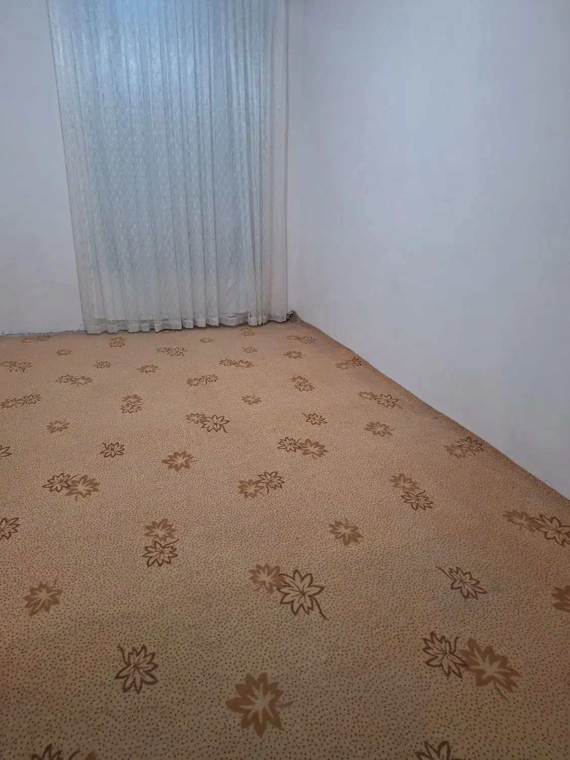 موکت ۳در۴و...|موکت|نیشابور, شهرک فرهنگیان|دیوار