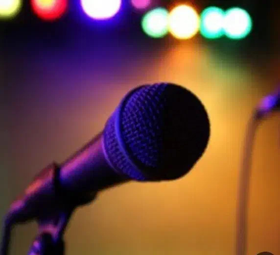 خواننده گروه ارکست|خدمات پذیرایی، مراسم|شیراز, ارم|دیوار