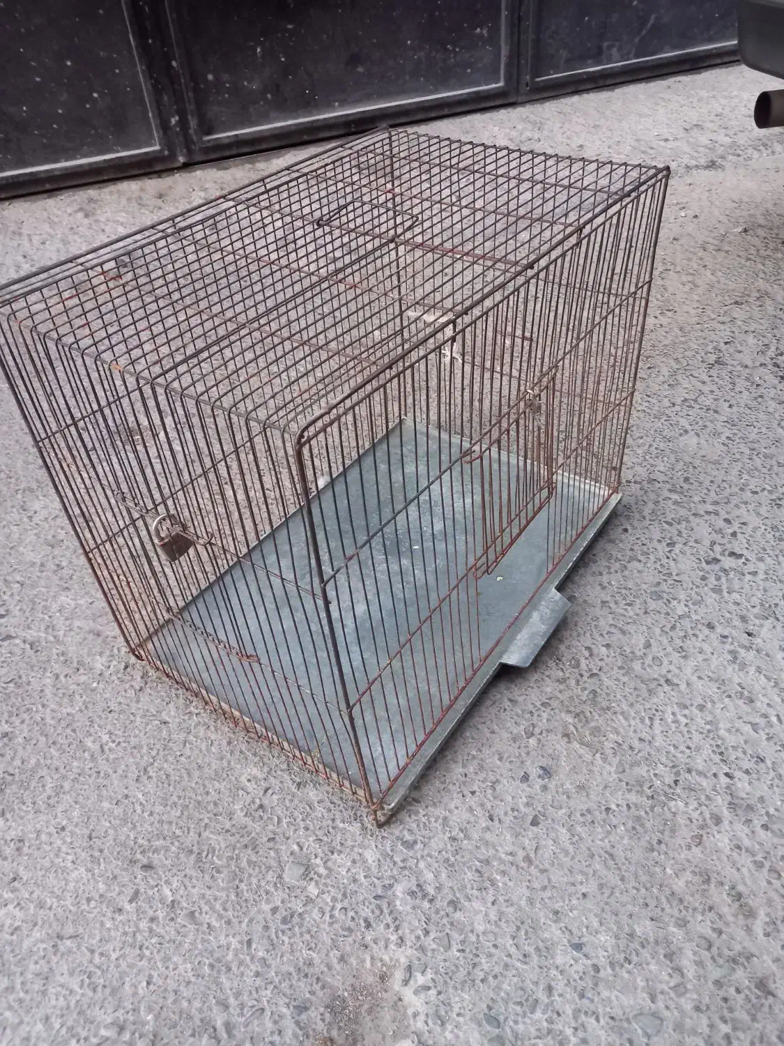 قفس طوطی و لانه پرنده|لوازم جانبی حیوانات|وحیدیه, |دیوار