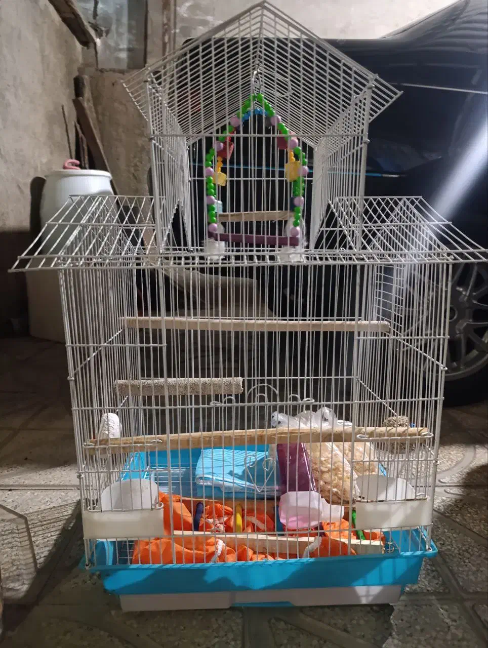 قفس و وسایل پرنده|لوازم جانبی حیوانات|بانه, |دیوار