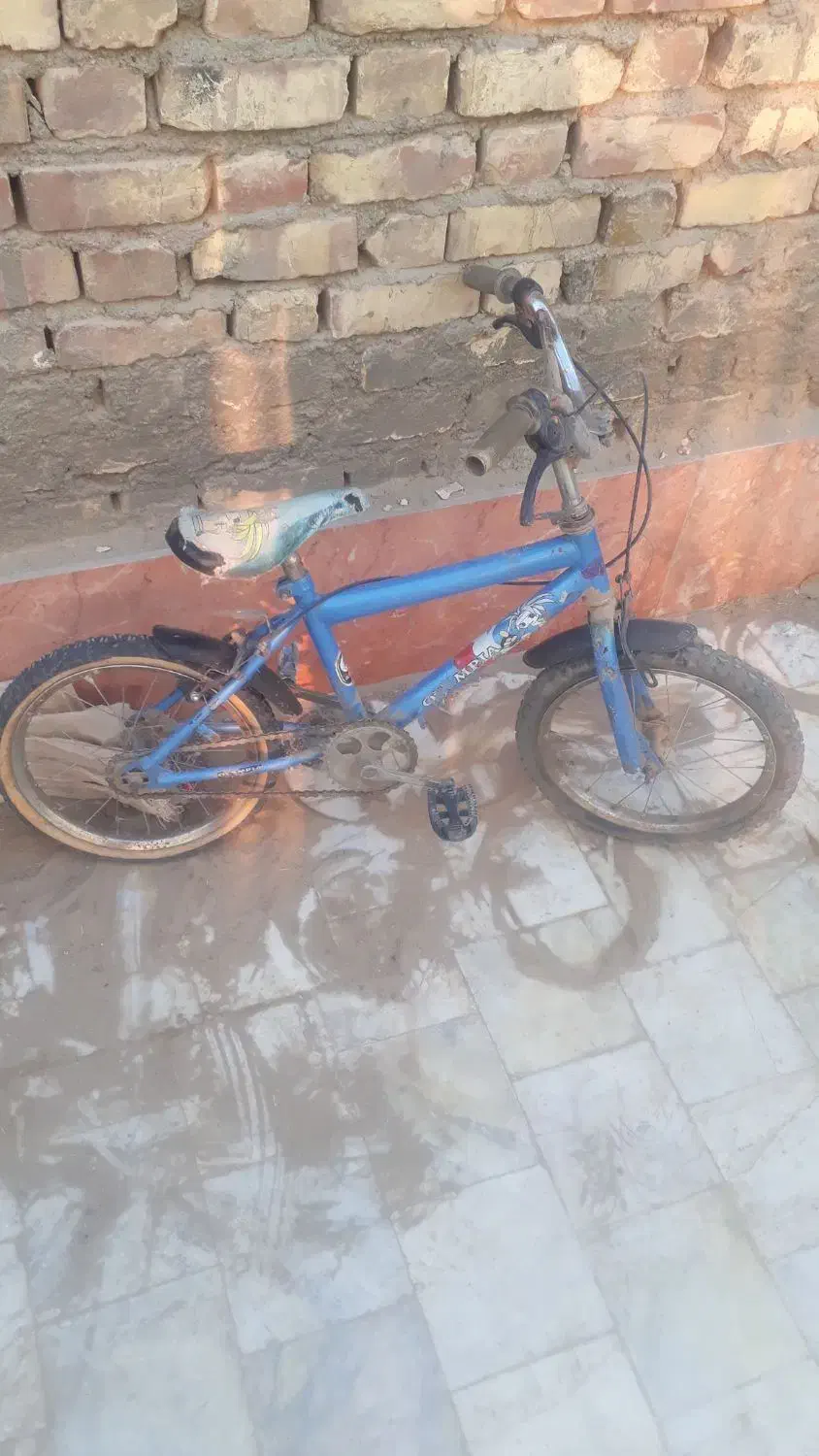 دوچرخه ۱۲|دوچرخه، اسکیت، اسکوتر|زابل, |دیوار