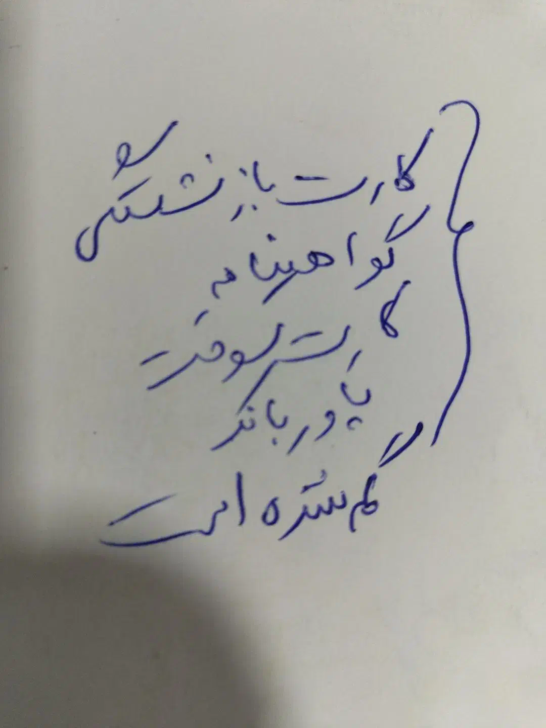 گم شده|اشیا|مشهد, شهرک رازی (شهرک غرب)|دیوار