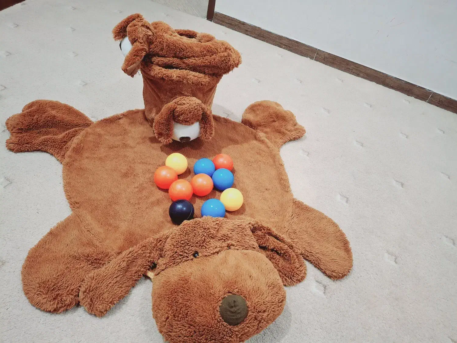 یک عدد فرشینه و جا دستمال کاغذی و سطل|پادری|بندرعباس, |دیوار