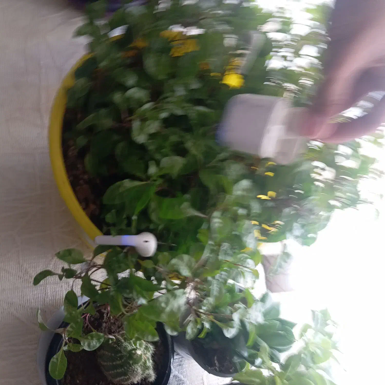 ارپاد|لوازم جانبی موبایل و تبلت|مرند, |دیوار