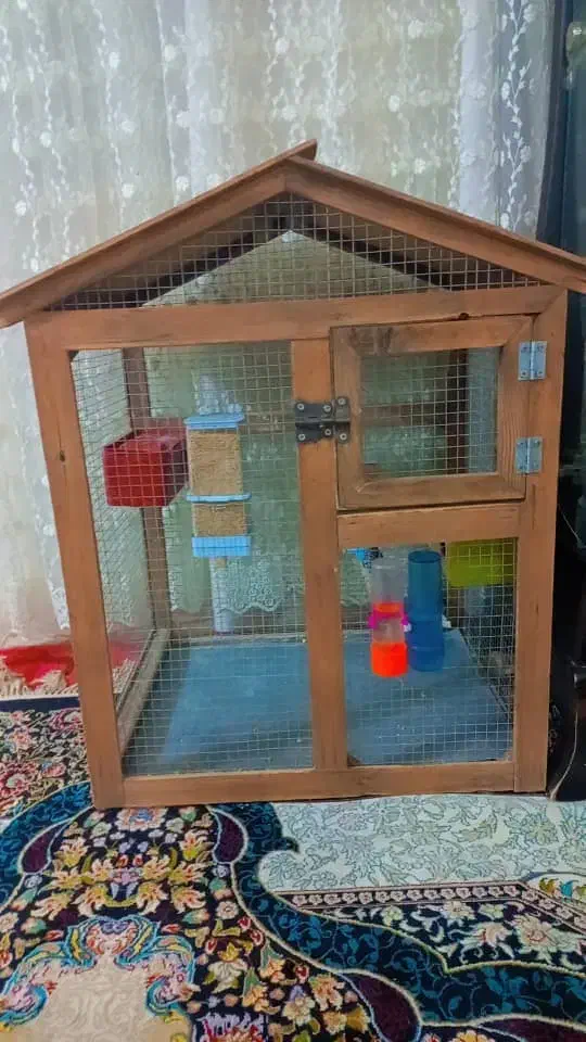 قفس پرنده|پرنده|بروجن, |دیوار