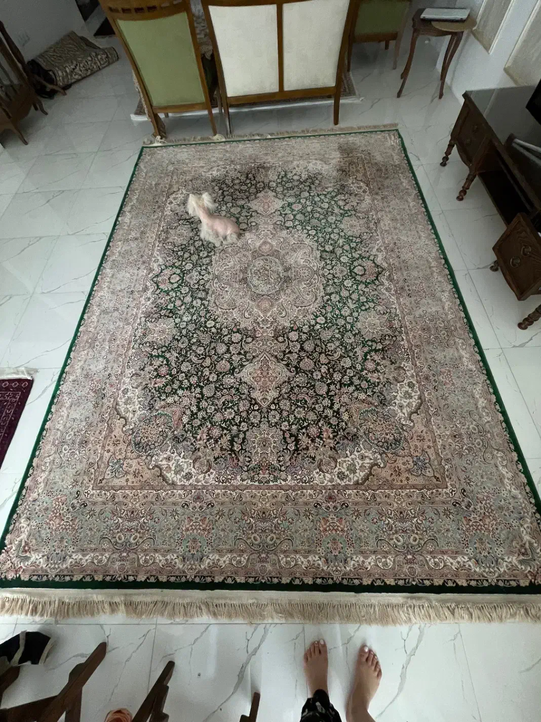 فرش ۱۲۰۰شانه|فرش|مشهد, کوی المهدی|دیوار
