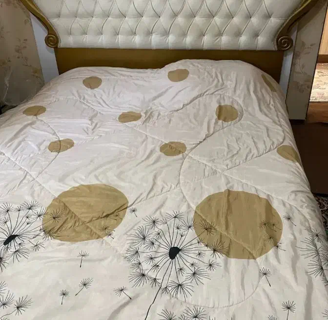 تخت دونفره همره تشک طبی فنری|تخت و سرویس خواب|رشت, معلولین|دیوار