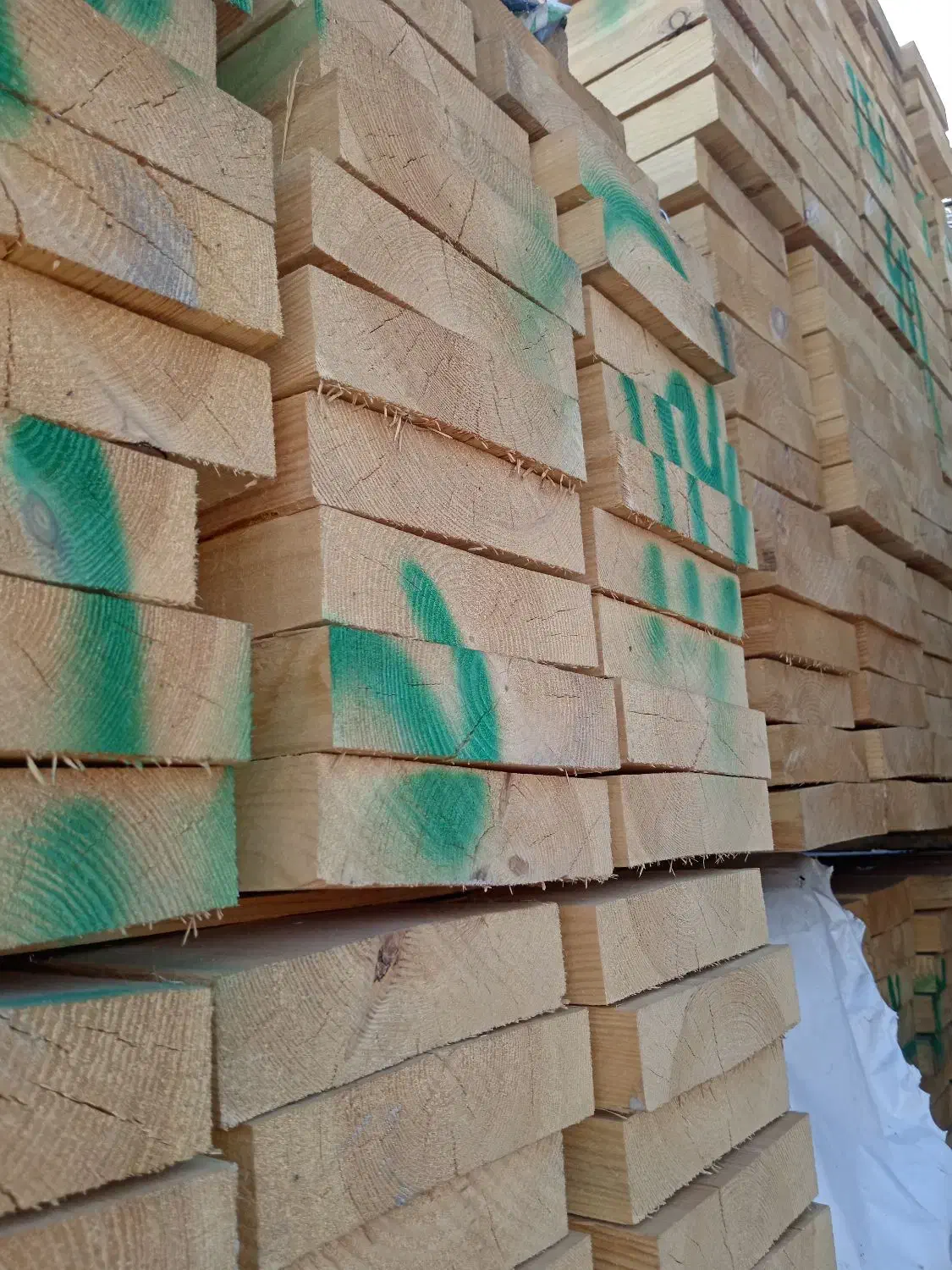 تخته داربست روسی تخته زیرپایی تخته بنایی|مصالح و تجهیزات ساختمان|خاوران, |دیوار